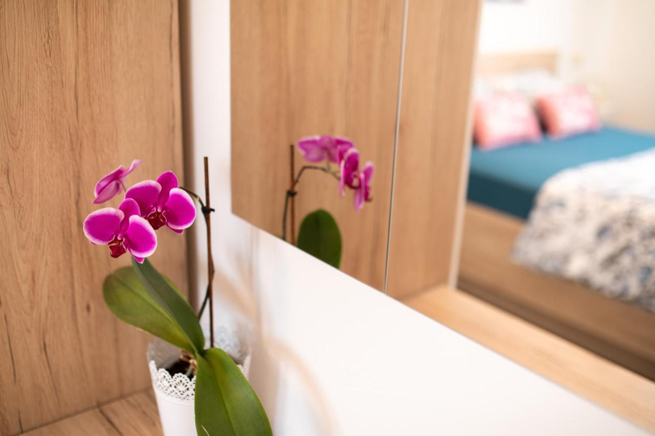 Apartman Jelena فربنيك المظهر الخارجي الصورة